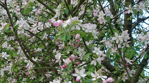 Foto M.-T. Motz privat